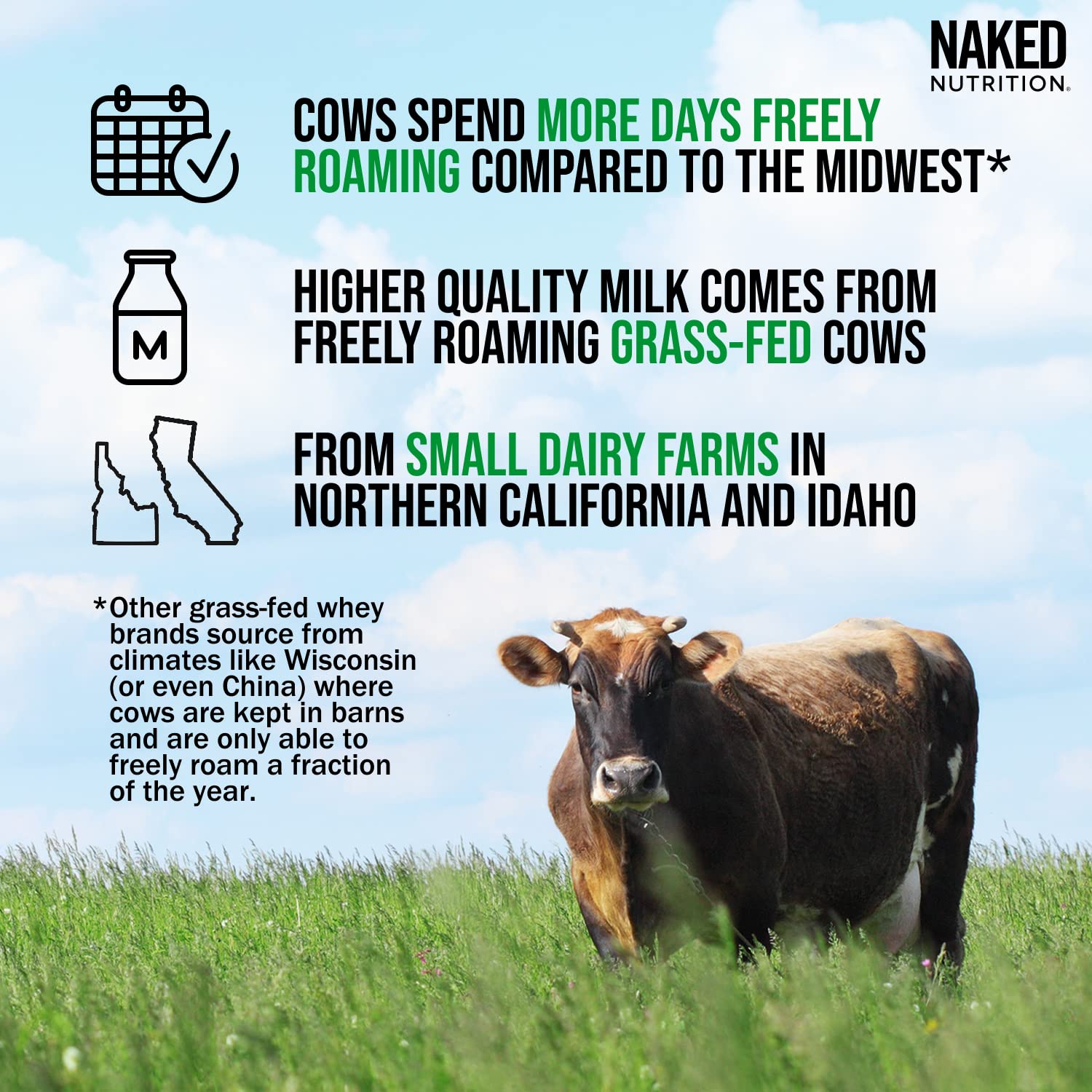 NAKED Nutrition Whey Vanilla Protein - All Natural Grass Fed Whey Protein Powder - Maple Wellness Supplements