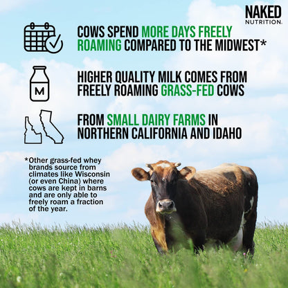 NAKED Nutrition Whey Vanilla Protein - All Natural Grass Fed Whey Protein Powder - Maple Wellness Supplements