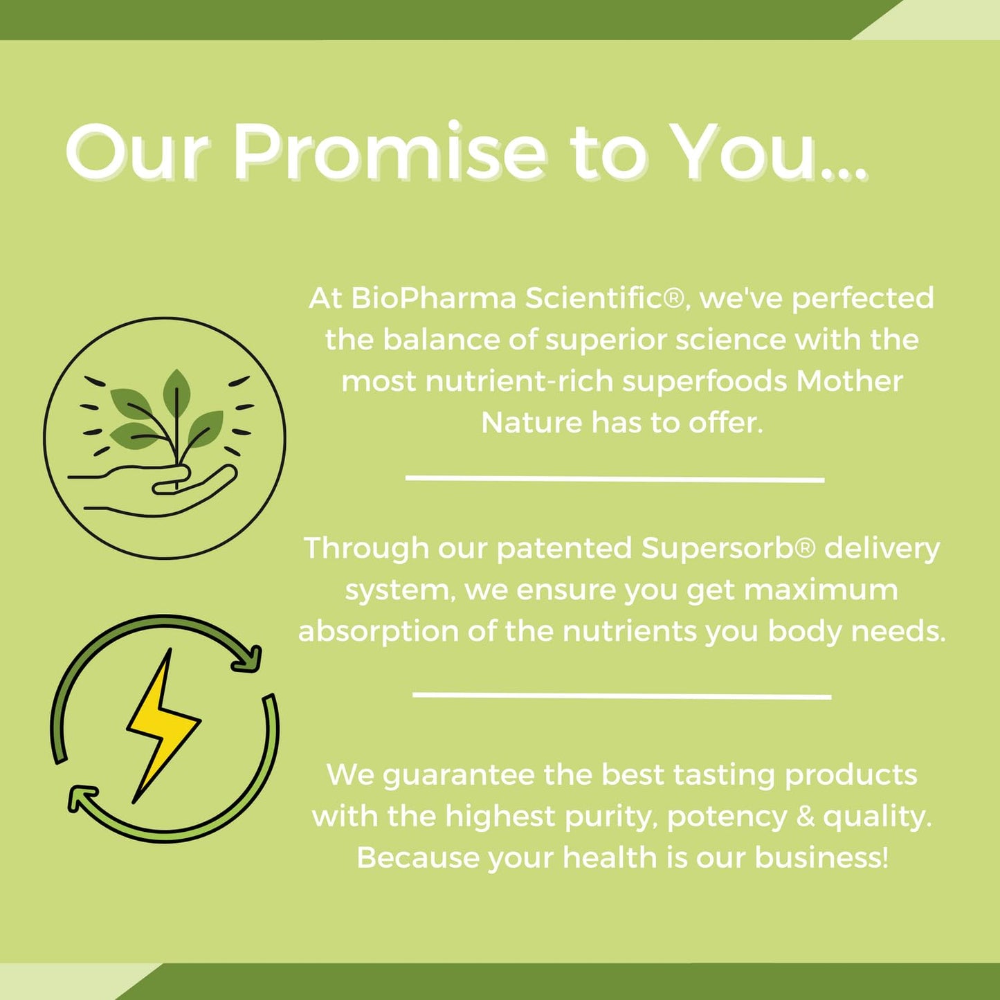 NanoMeal Plant-Based All-in-One Nutrition | Superfood Meal Replacement Powder | Tropical Fruit Blend | 10 Servings | Protein, Greens & Omega for Gut & Immune Support - Maple Wellness Supplements