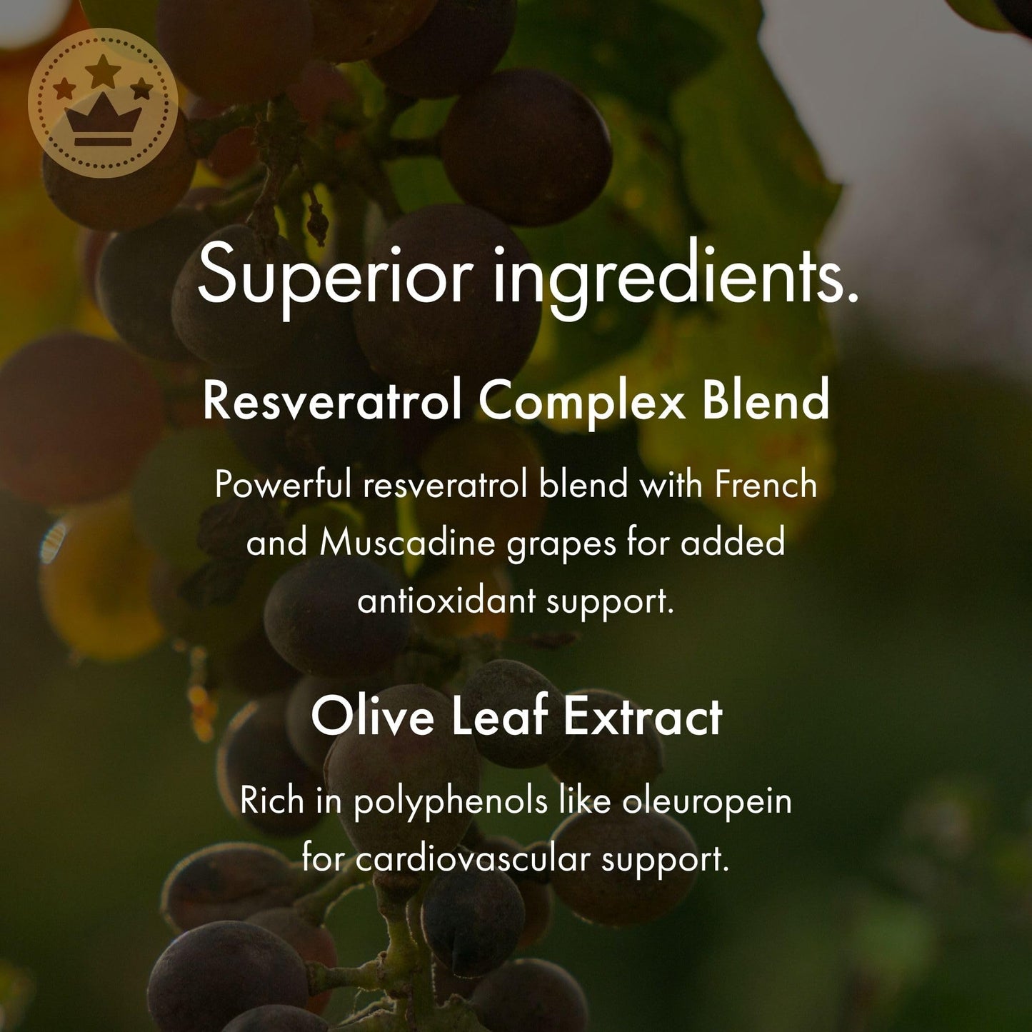 NAOMI Italian Citrus Bergamot 500mg + Resveratrol, Award-Winning Cardiologist Dvlpd, Supports Normal Cholesterol & Healthy Cellular Function, 7 Key Polyphenols - Maple Wellness Supplements