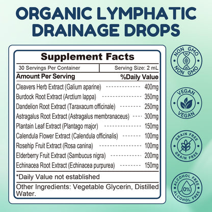 NaSeny Lymphatic Drainage Drops, 9 IN1 Lymphatic Drainage Supplements for Detox & Cleanse, Immune System Support with Echinacea, Elderberry, Dandelion, Arctium Lappa, 2 FL OZ - Maple Wellness Supplements