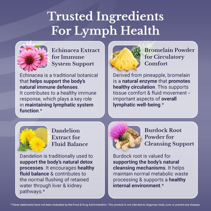 NATION HEALTH MD Lymph MD - Lymphatic Drainage Supplement - with Bromelain, Echinacea, Burdock Root, Dandelion, Rutin, Kelp & More - Lymph System Support for Women & Men - 60 Capsules - Maple Wellness Supplements