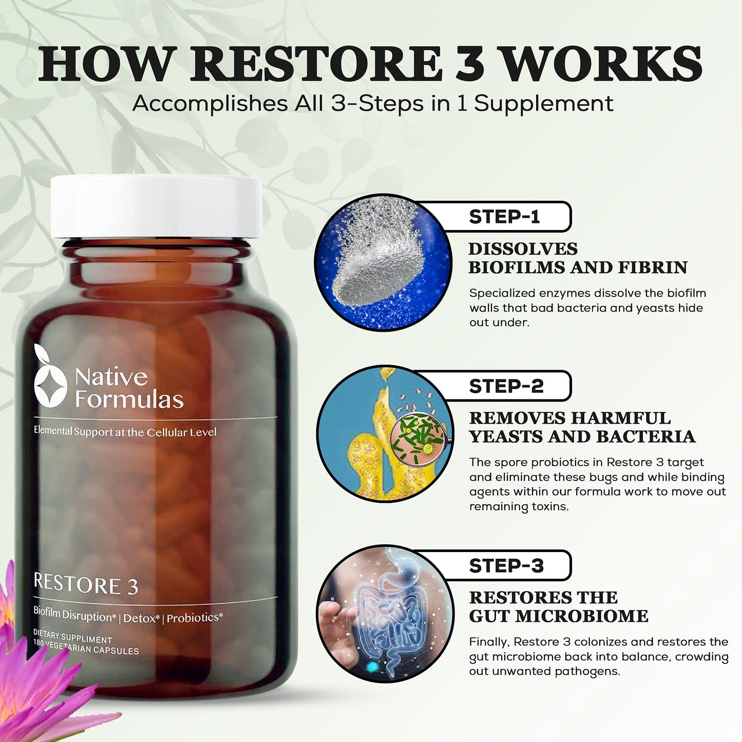 Native Formulas Restore 3 Proteolytic Enzyme & Spore Probiotic Blend Supplement - 60 Capsules - Advanced Biofilm Disruption Aid - Maple Wellness Supplements