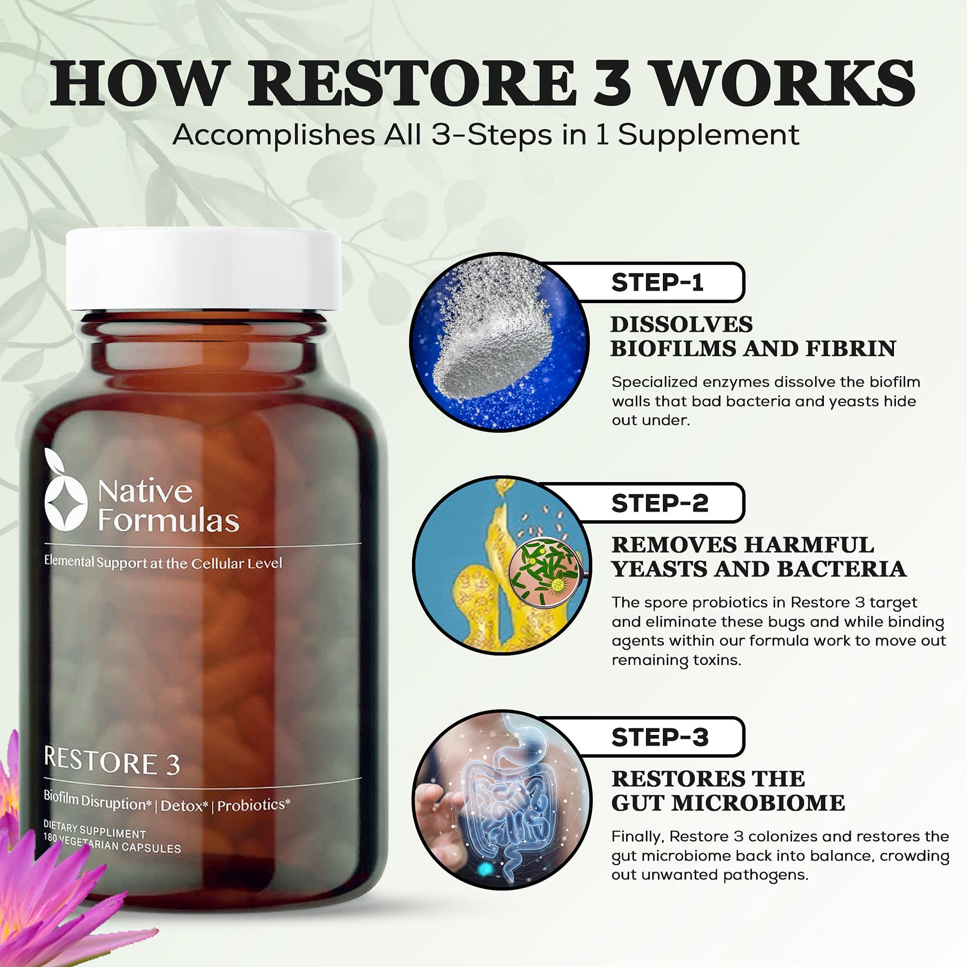 Native Formulas Restore 3 Proteolytic Enzyme & Spore Probiotic Blend Supplement - 60 Capsules - Advanced Biofilm Disruption Aid - Maple Wellness Supplements