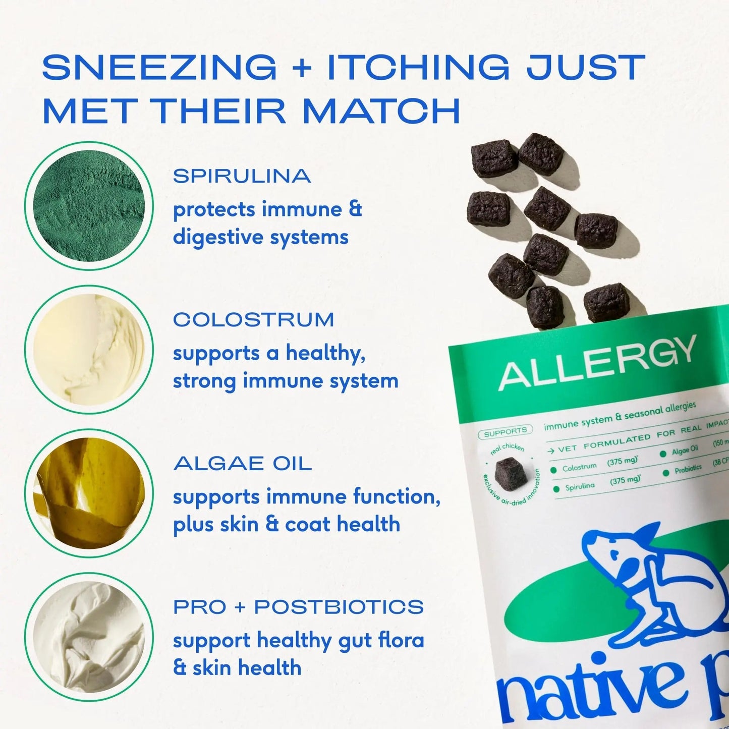 Native Pet Dog Allergy Chews - Dog Allergy Relief for Medium Breeds - Supports Seasonal Itch Relief, Healthy Immune Function & Reduces Sneezing - Colostrum, Spirulina, & Probiotics - 30 Days Supply - Maple Wellness Supplements