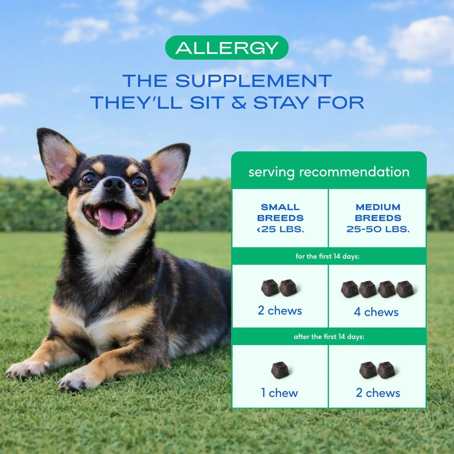 Native Pet Dog Allergy Chews - Dog Allergy Relief for Medium Breeds - Supports Seasonal Itch Relief, Healthy Immune Function & Reduces Sneezing - Colostrum, Spirulina, & Probiotics - 30 Days Supply - Maple Wellness Supplements