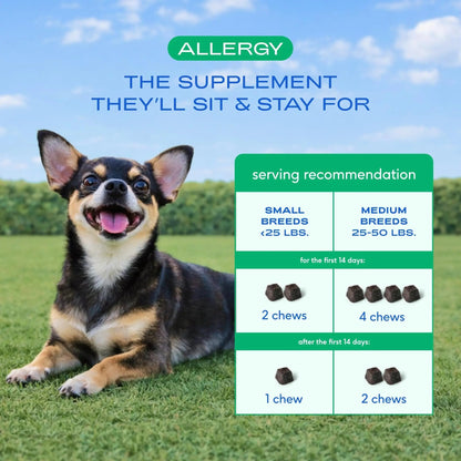 Native Pet Dog Allergy Chews - Dog Allergy Relief for Medium Breeds - Supports Seasonal Itch Relief, Healthy Immune Function & Reduces Sneezing - Colostrum, Spirulina, & Probiotics - 30 Days Supply - Maple Wellness Supplements