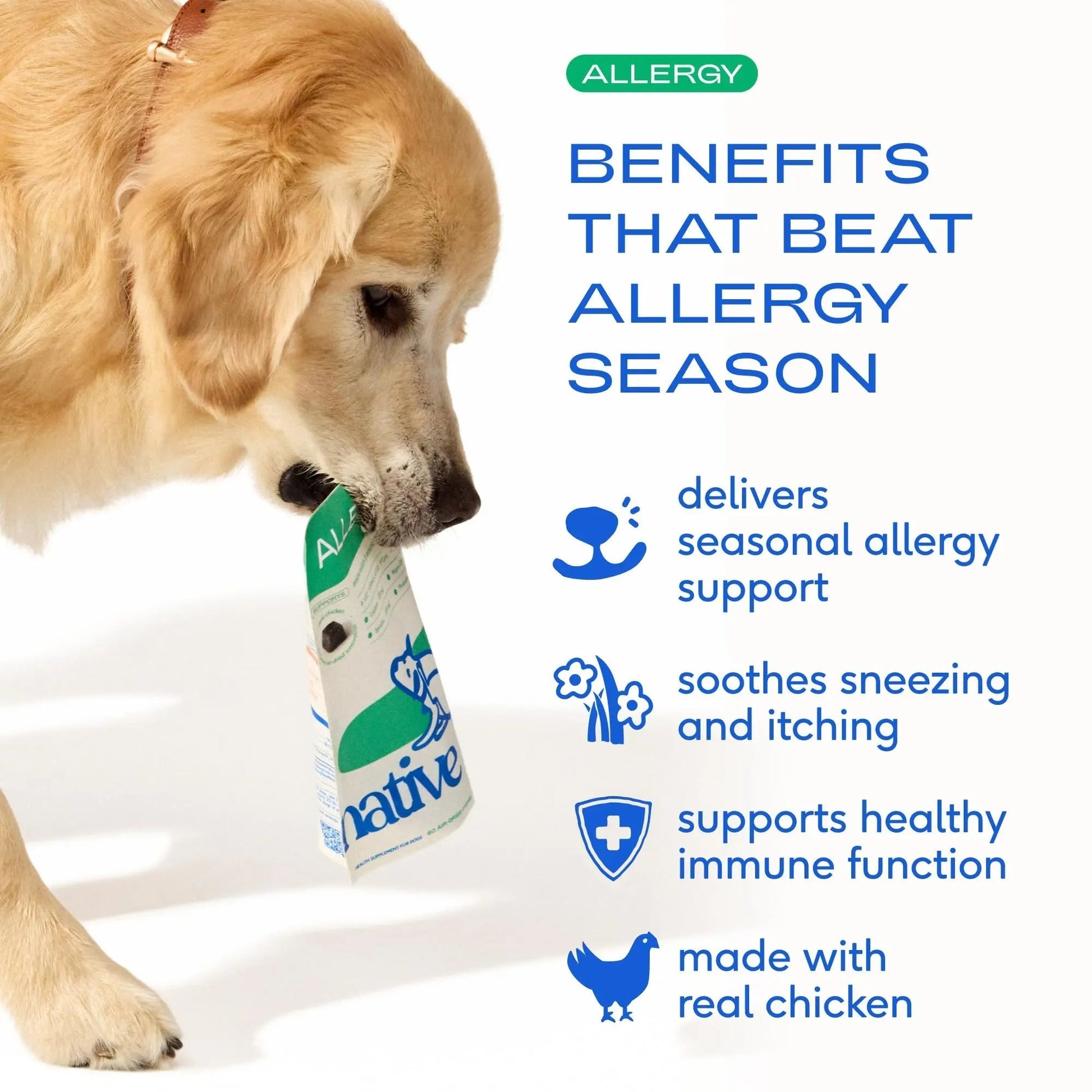 Native Pet Dog Allergy Chews - Dog Allergy Relief for Medium Breeds - Supports Seasonal Itch Relief, Healthy Immune Function & Reduces Sneezing - Colostrum, Spirulina, & Probiotics - 30 Days Supply - Maple Wellness Supplements