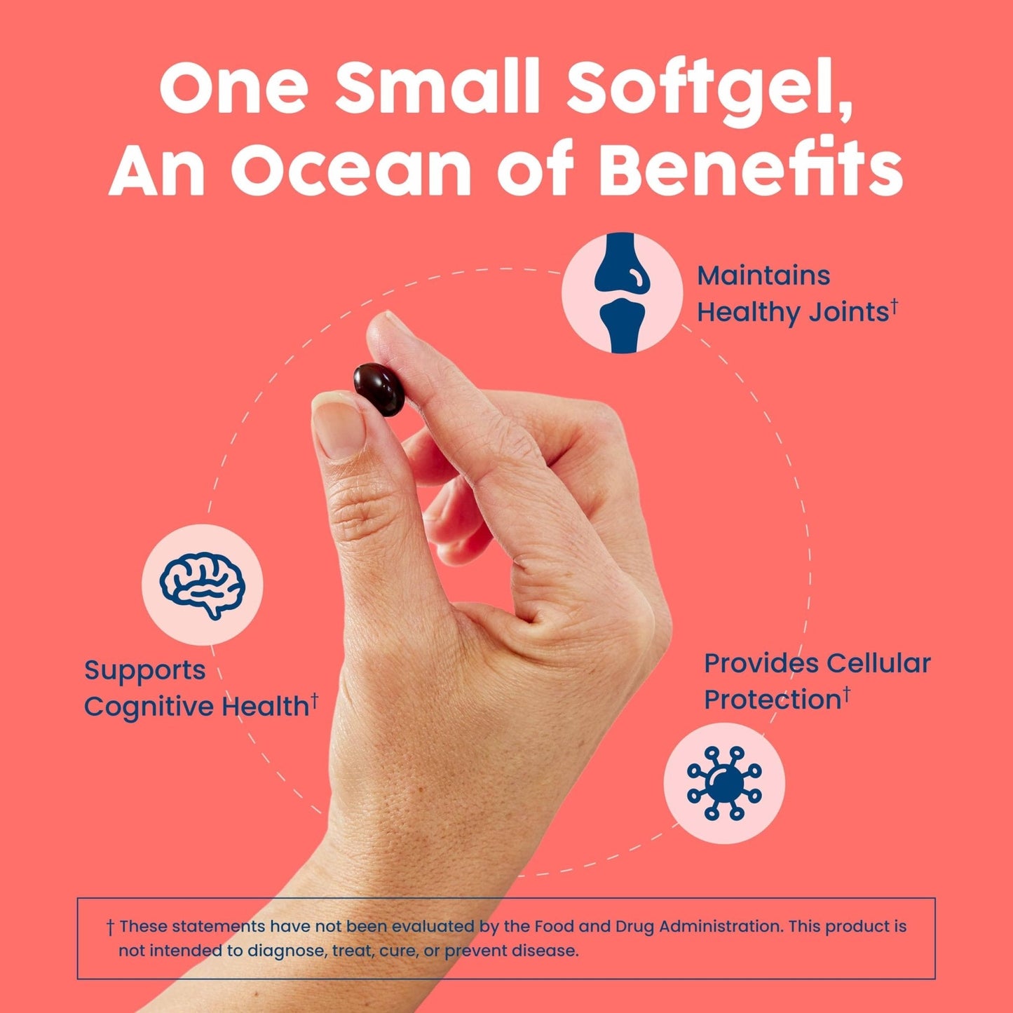 NativePath Antarctic Krill Oil - Wild-Caught Omega 3 Krill Oil 500mg Softgels with EPA, DHA and Astaxanthin - Supplement for Joint, Hear - Maple Wellness Supplements