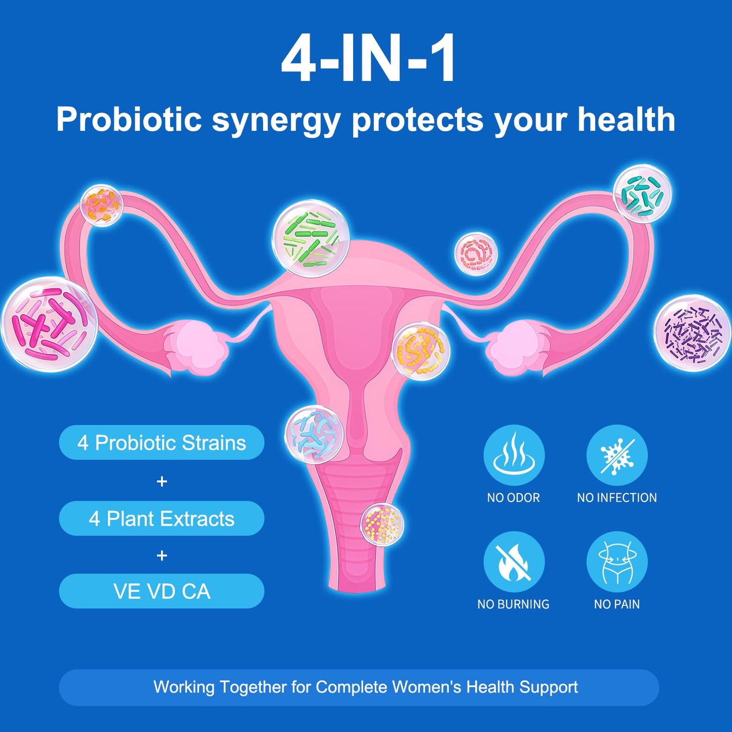 Natprime Menopause Supplements for Women - 60 Billion CFU Akkermansia Probiotic for Hormonal Balance, Night Sweats, Hot Flashes Relief, Gut Health, Mood Support & URO Viginal probiotic - 60 Ct 30 Day - Maple Wellness Supplements