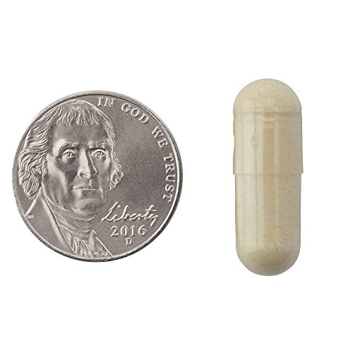 Natrol Carb Intercept with Phase 2 Carb Controller Capsules, White Kidney (Pack of 12) - Maple Wellness Supplements