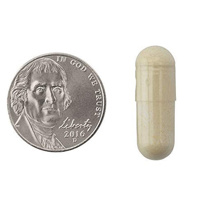 Natrol Carb Intercept with Phase 2 Carb Controller Capsules, White Kidney (Pack of 12) - Maple Wellness Supplements