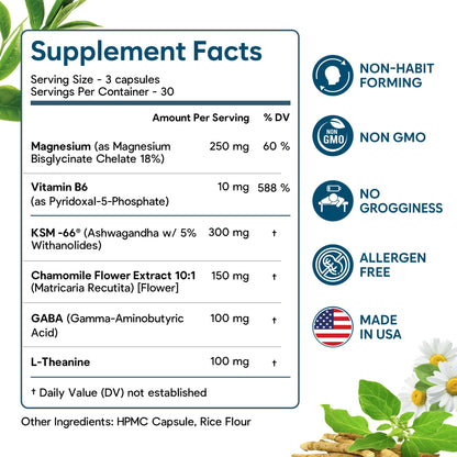 Natural Chelated Magnesium Glycinate Sleep Aid - Melatonin-Free Sleep & Stress Relief with KSM-66 Ashwagandha, GABA, L-Theanine & Chamomile for Muscle Relaxation - Made in USA - 90 Capsules - Maple Wellness Supplements