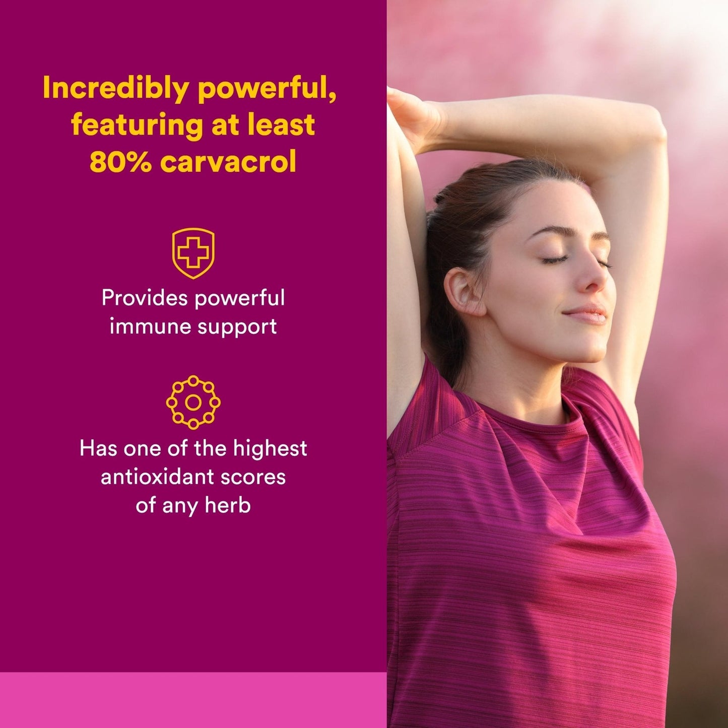 Natural Factors Oil of Oregano - Liquid Antioxidant Support Supplement for Immune Support - Easy Swallow Health Supplement - Maple Wellness Supplements