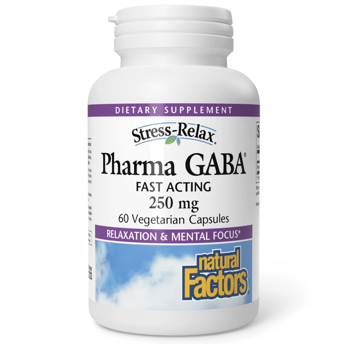 Natural Factors Pharma GABA - Dietary Supplement Supports Calm Sleep & Sleep Quality - Natural, Fast-Working Supplement Aids Focus & Brain Health - 60 Chewable Tablets (60 Servings) - Maple Wellness Supplements