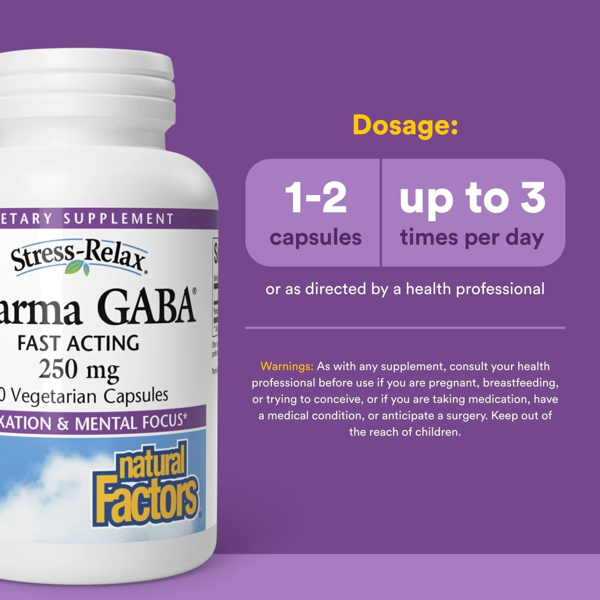 Natural Factors Pharma GABA - Dietary Supplement Supports Calm Sleep & Sleep Quality - Natural, Fast-Working Supplement Aids Focus & Brain Health - 60 Chewable Tablets (60 Servings) - Maple Wellness Supplements