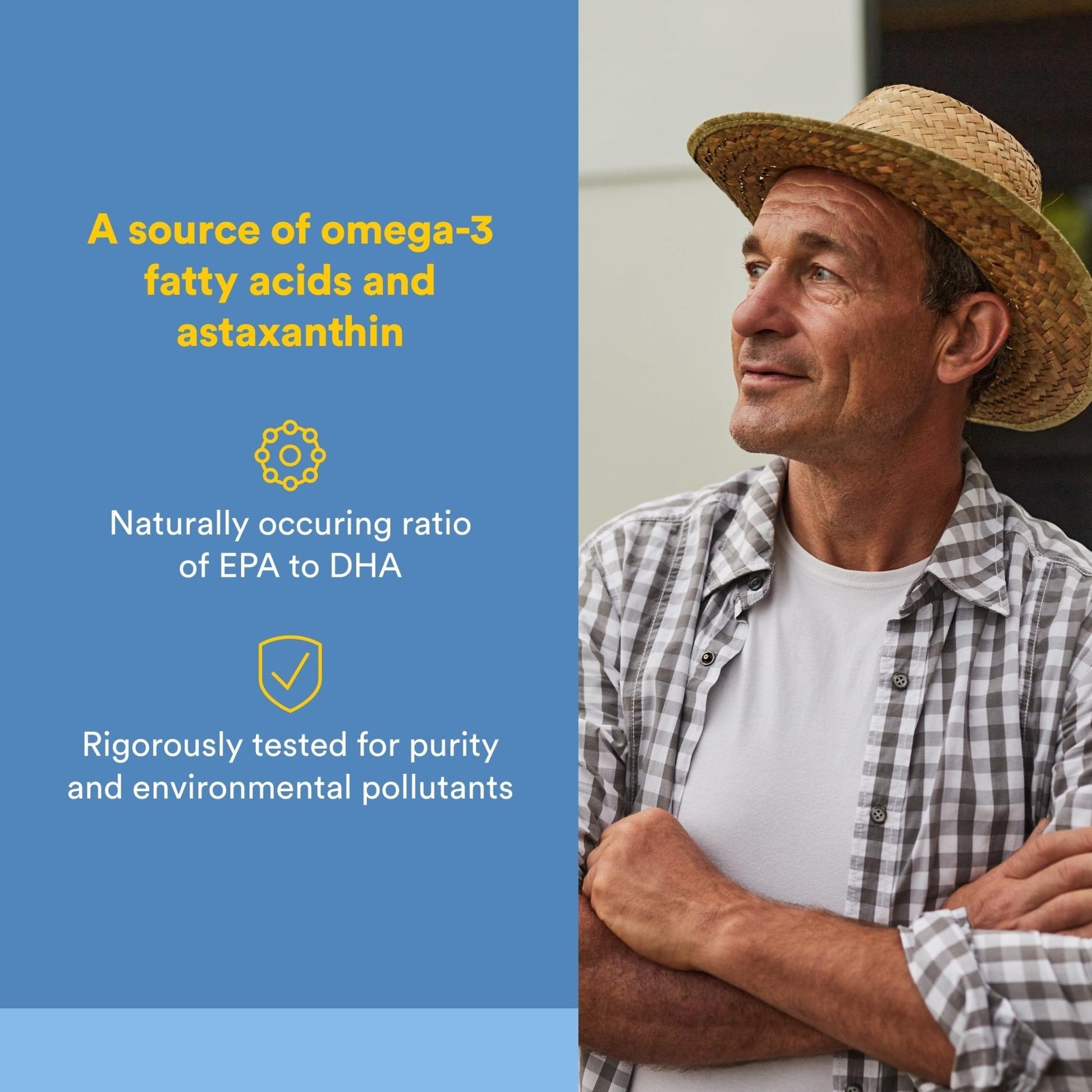 Natural Factors Wild Alaskan Salmon Oil Provides Omega-3, EPA, DHA & Vitamin D, Supports Brain & Heart Health, 180 Softgels - Maple Wellness Supplements