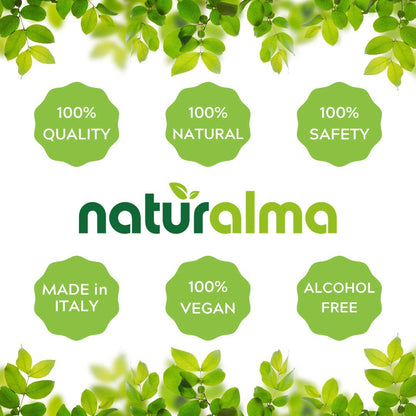 Naturalma White Willow (Salix alba) bark Alcohol-Free Tincture - 6.76 fl oz Liquid Extract in Drops - Herbal Supplement - Vegan - Maple Wellness Supplements