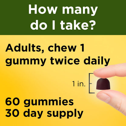 Nature Made Ashwagandha Gummies, Vegan, KSM 66 Ashwagandha Supplement for Stress Support, 60 Count, 30-Day Supply - Maple Wellness Supplements