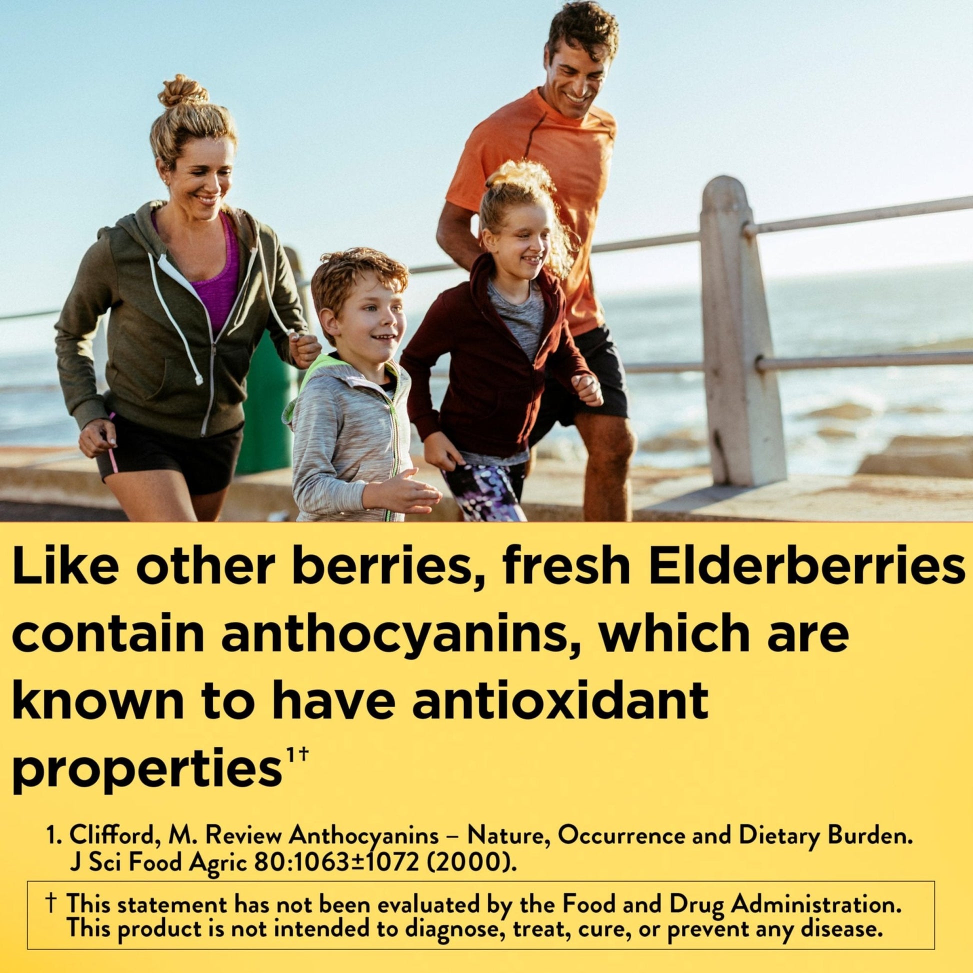 Nature Made Elderberry Gummies with Vitamin C and Zinc, Dietary Supplement for Immune Support - Maple Wellness Supplements
