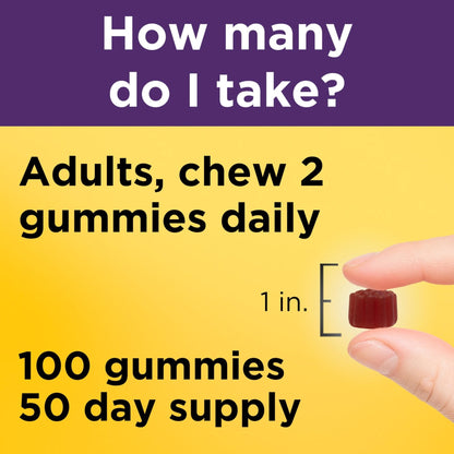 Nature Made Elderberry Gummies with Vitamin C and Zinc, Dietary Supplement for Immune Support - Maple Wellness Supplements