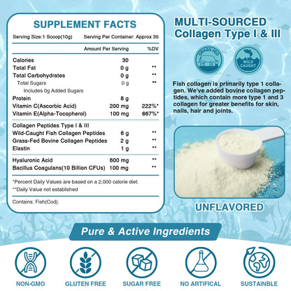 NATURE TARGET Marine Collagen Peptides Powder - Type I & III Collagen with Probiotics, Vitamin C & Hyaluronic Acid for Skin, Hair, Nails - Maple Wellness Supplements