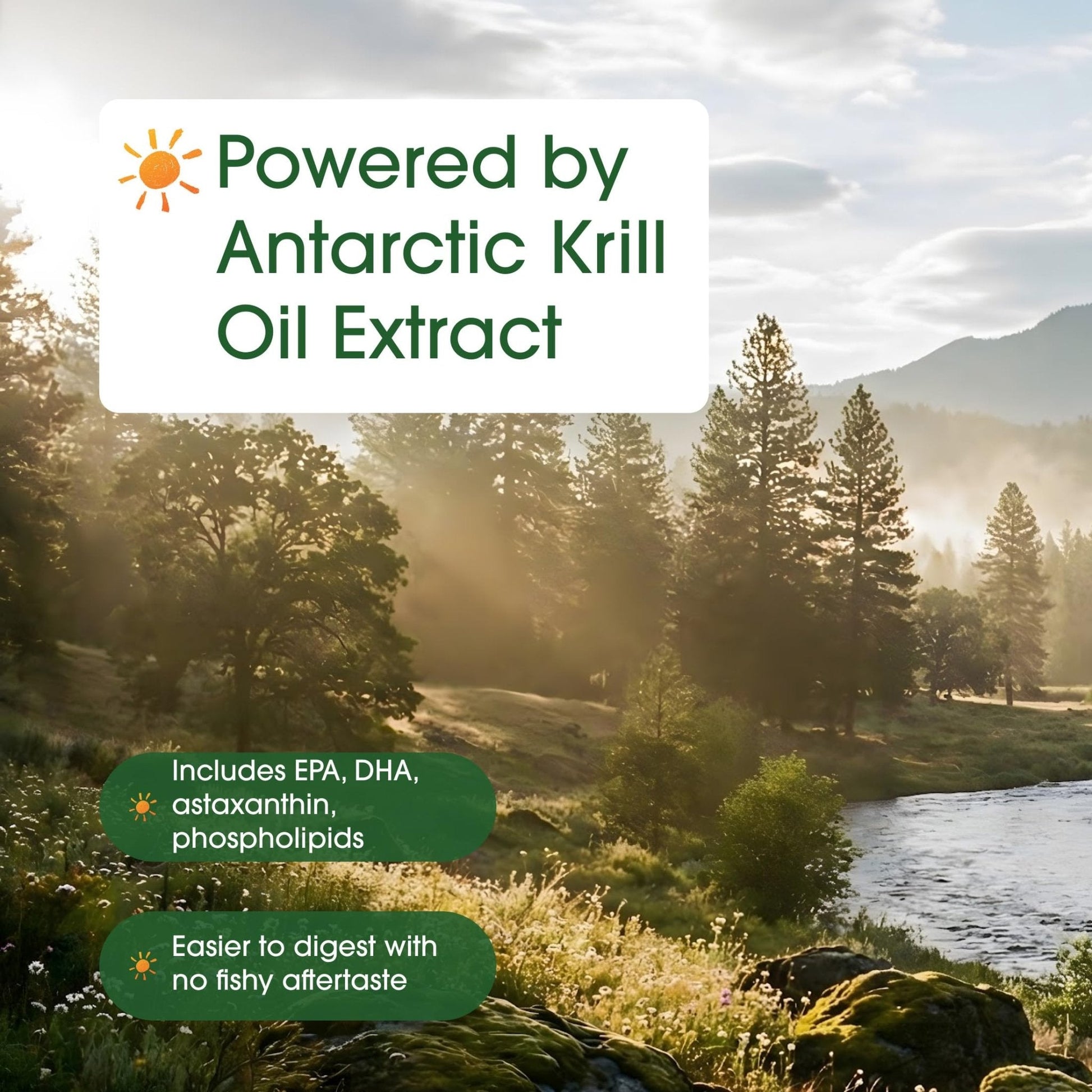 NatureBell Antarctic Krill Oil 1,000mg - 240 Softgels - Omega-3 Heart, Joint & Immune Health Support* - Maple Wellness Supplements