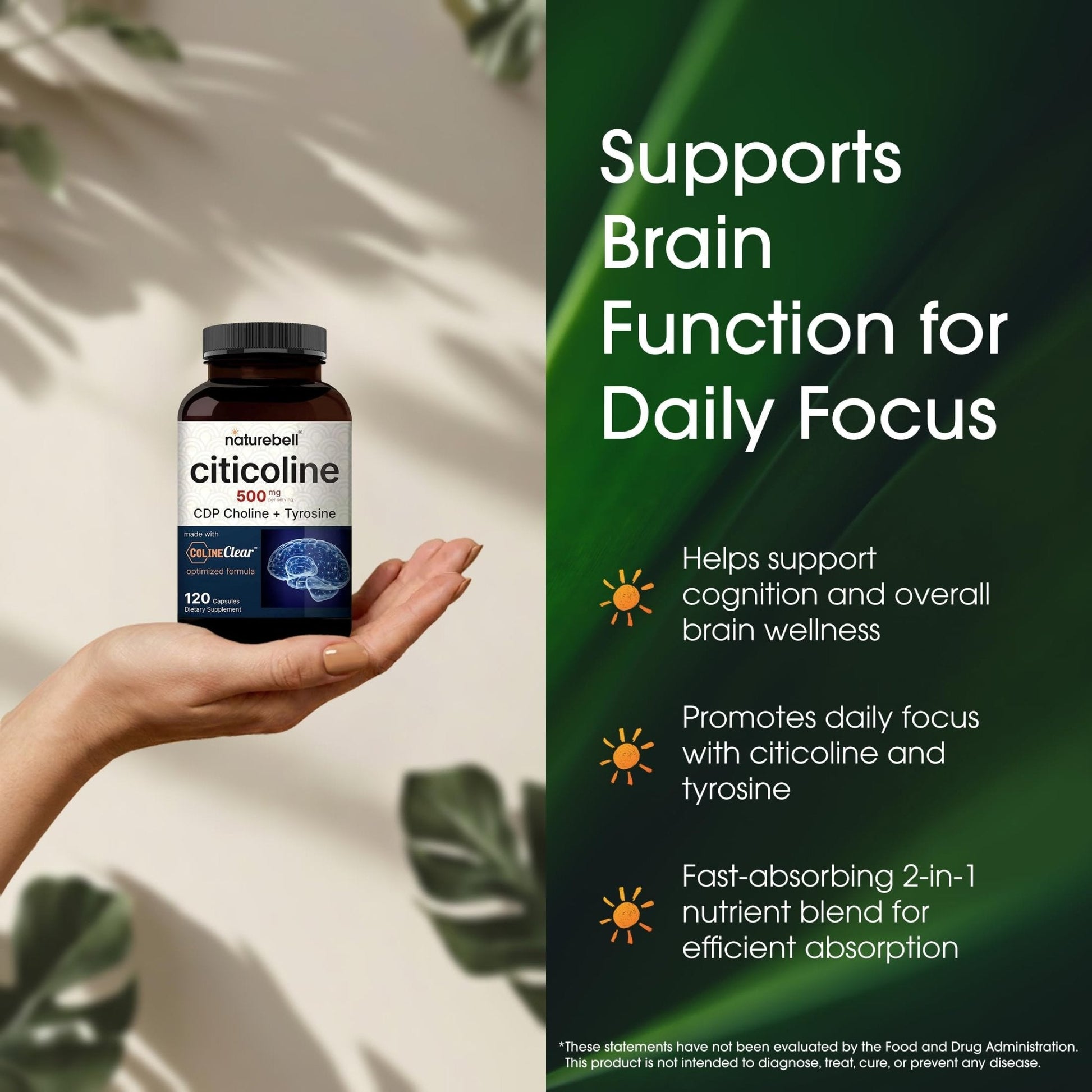 NatureBell Citicoline 500mg - 120 Capsules - Brain Function Support for Adults - Memory & Focus Aid with CDP Choline & Tyrosine - Fast-Absorbing Formula - Maple Wellness Supplements