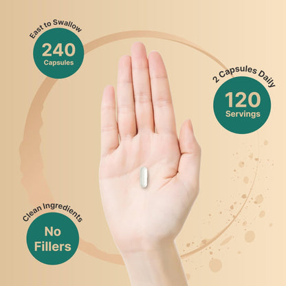 NatureBell Magnesium Complex for Women & Men 1,000mg Per Serving – 240 Capsules – Triple Magnesium Complex with Glycinate, Citrate & Malate – Chelated & Purified – Non‑GMO, Filler Free - Maple Wellness Supplements