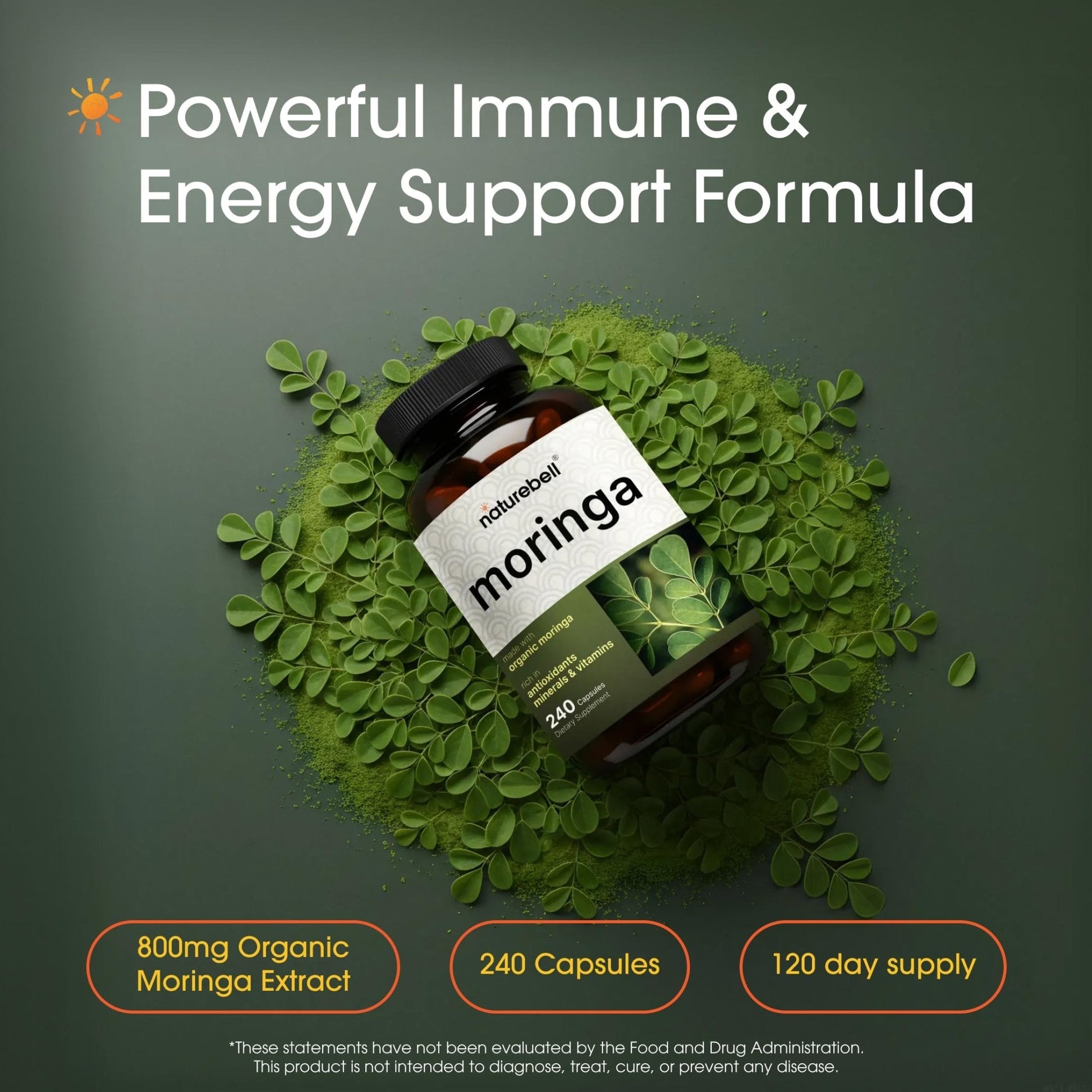 NatureBell Moringa - 240 Capsules - Organic Moringa for Immune, Energy & Skin Health Support - Green Superfood Properties - Maple Wellness Supplements