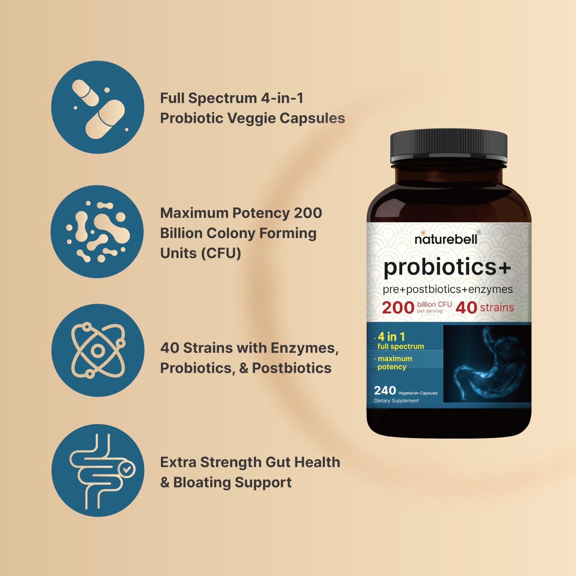 NatureBell Probiotic 200 Billion CFU – 40 Strains Per Serving | 240 Veggie Capsules with Prebiotics and Probiotics – Full Spectrum Complex with Enzymes - Maple Wellness Supplements