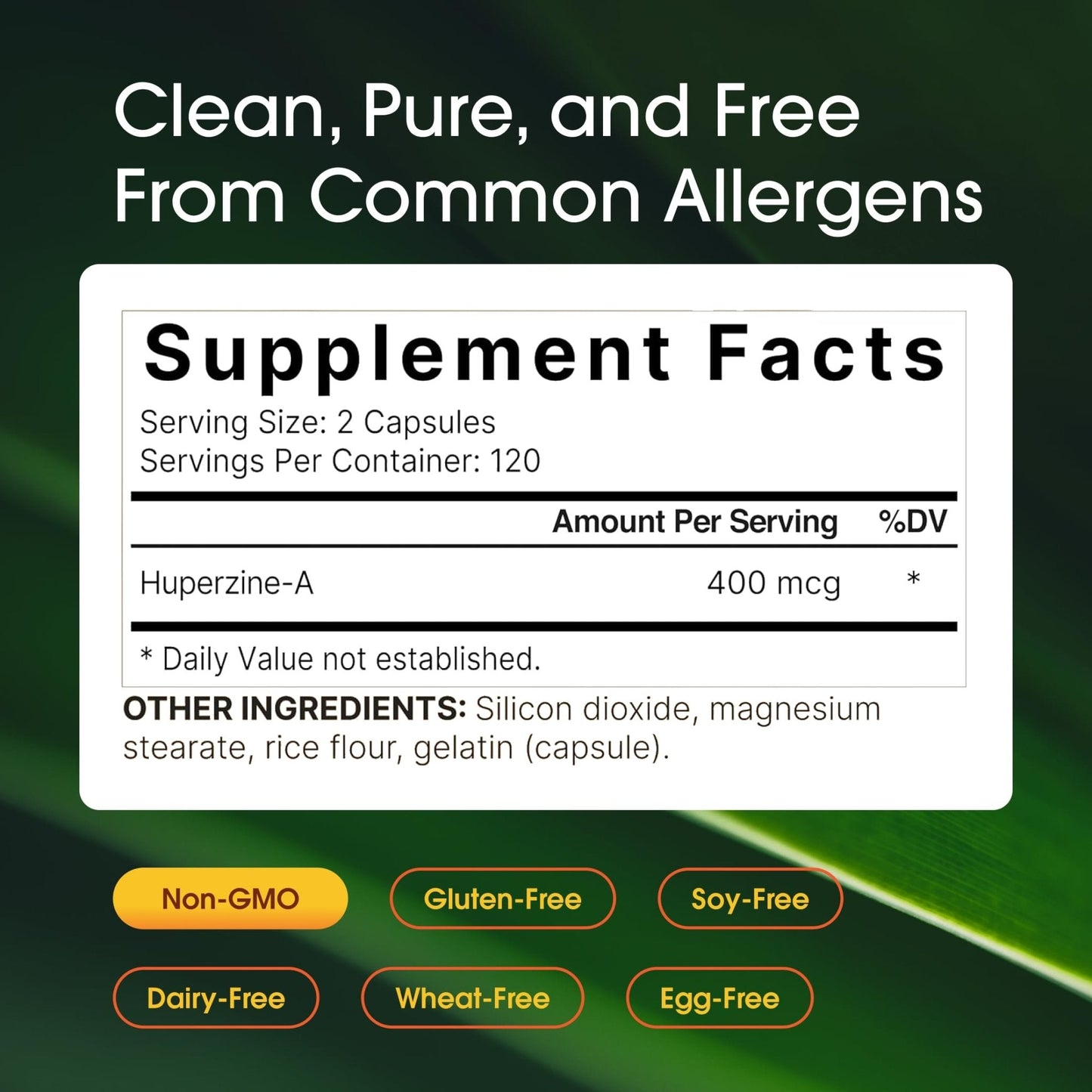 NatureBell Vitamin E 1,000 IU Per Serving - 300 Softgels - Antioxidant Supplement for Skin, Heart & Brain Health Support - Maple Wellness Supplements