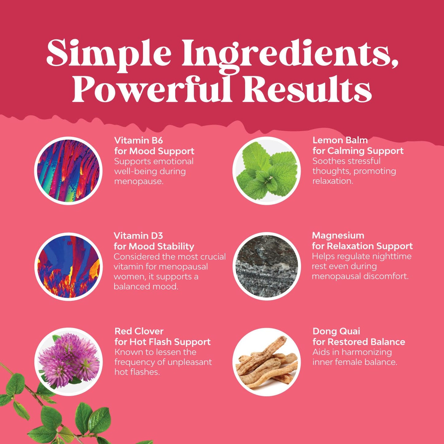 Natures Craft Complete Herbal Menopause Supplement for Women - Female Hormone Balance Capsules for Night Sweats Hot Flashes & Mood Swings with Dong Quai - Maple Wellness Supplements