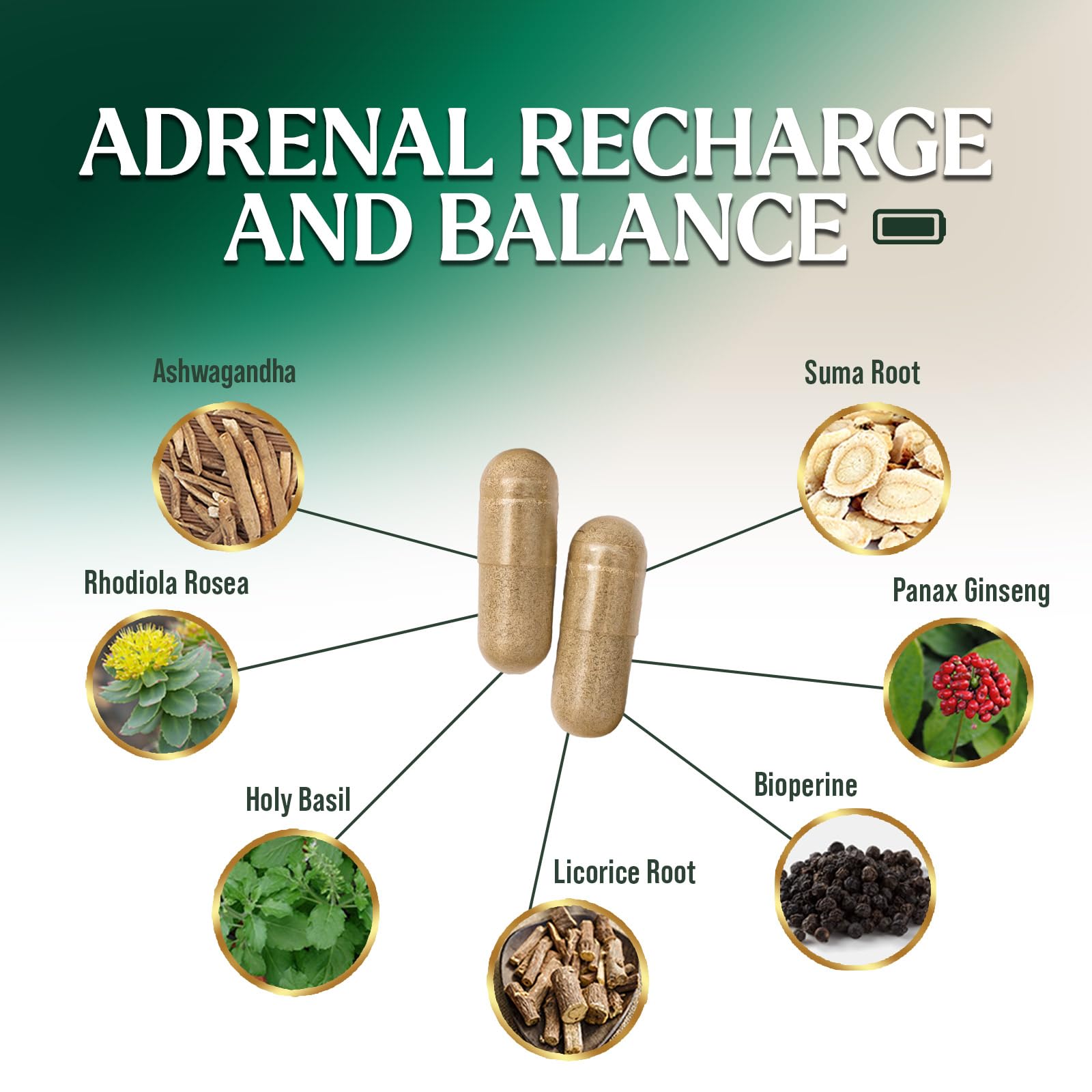 Nature's Nutrition Adrenal Support Supplements Cortex Complex, Best Energy Supplement, Supports Health & Energy Levels, Daily Ashwagandha for Women & Men, Supports Immune System, 120 Capsules - Maple Wellness Supplements