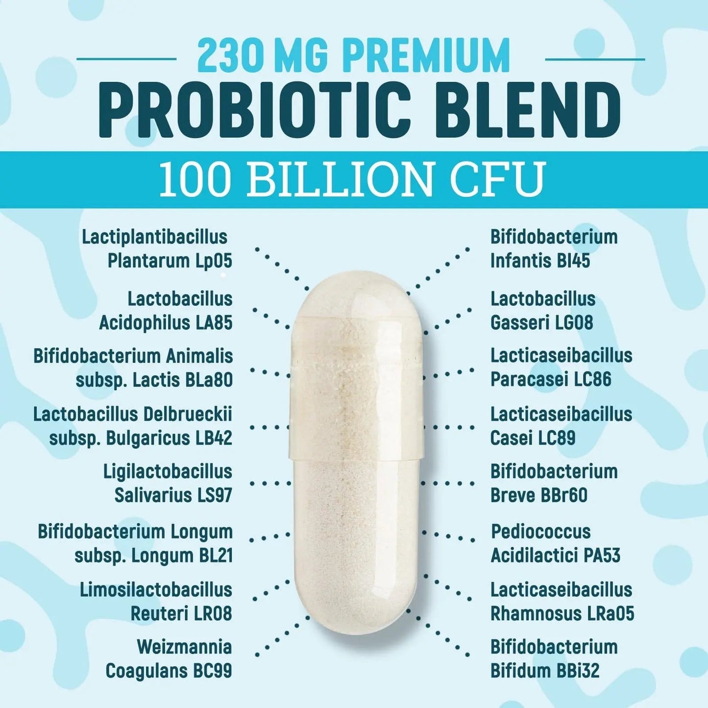 Nature's Physician Probiotics - 100 Billion CFU - 16 Strains + Prebiotics - Best Probiotic Supplement for Women & Men - Supports Immune, Digestive Health, Occasional Constipation & Gas - 60 Capsules - Maple Wellness Supplements