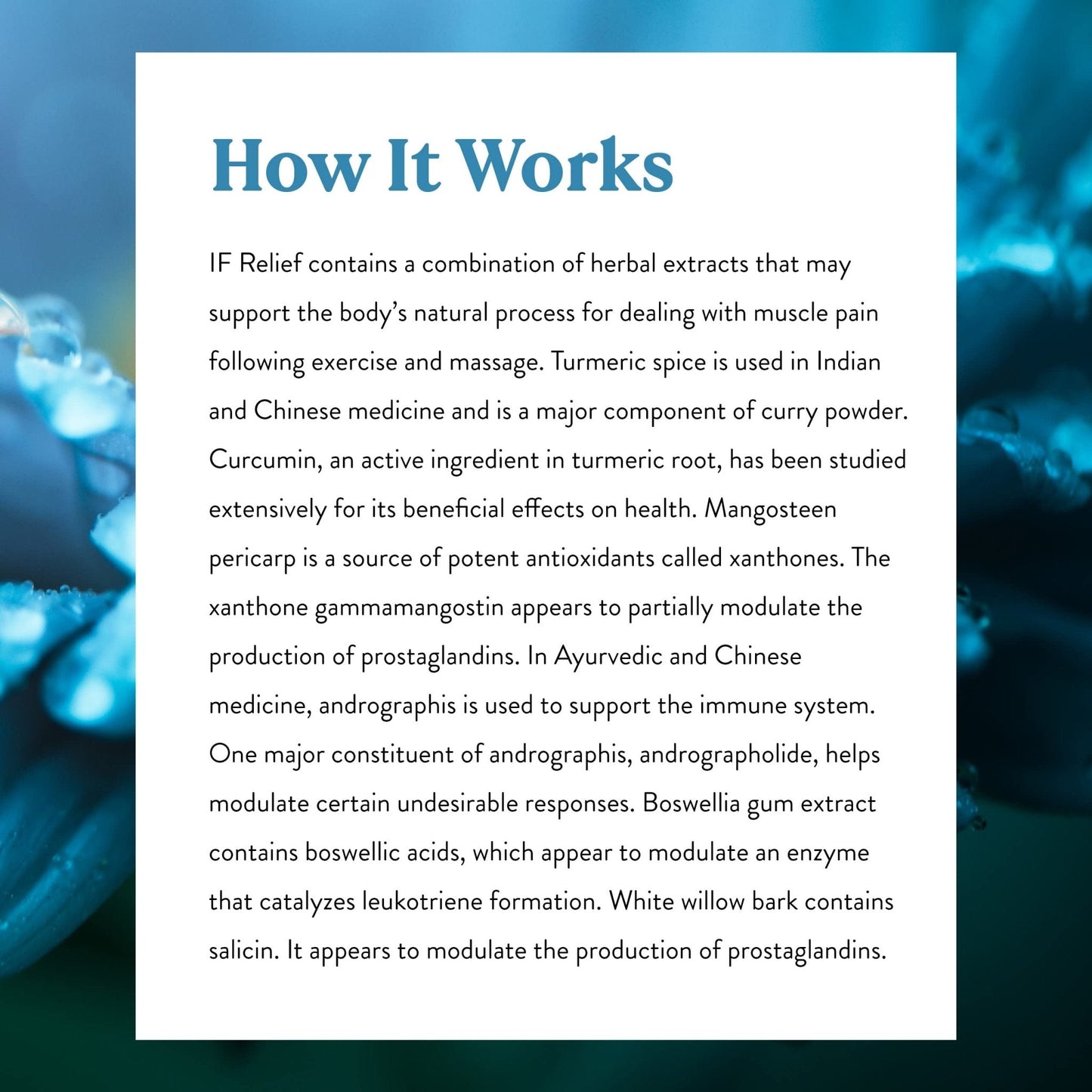 Nature's Sunshine IF Relief, 90 Capsules | Powerful Combination of Herbs That May Support The Body's Natural Process for Dealing with Muscle Pain Following Exercise - Maple Wellness Supplements