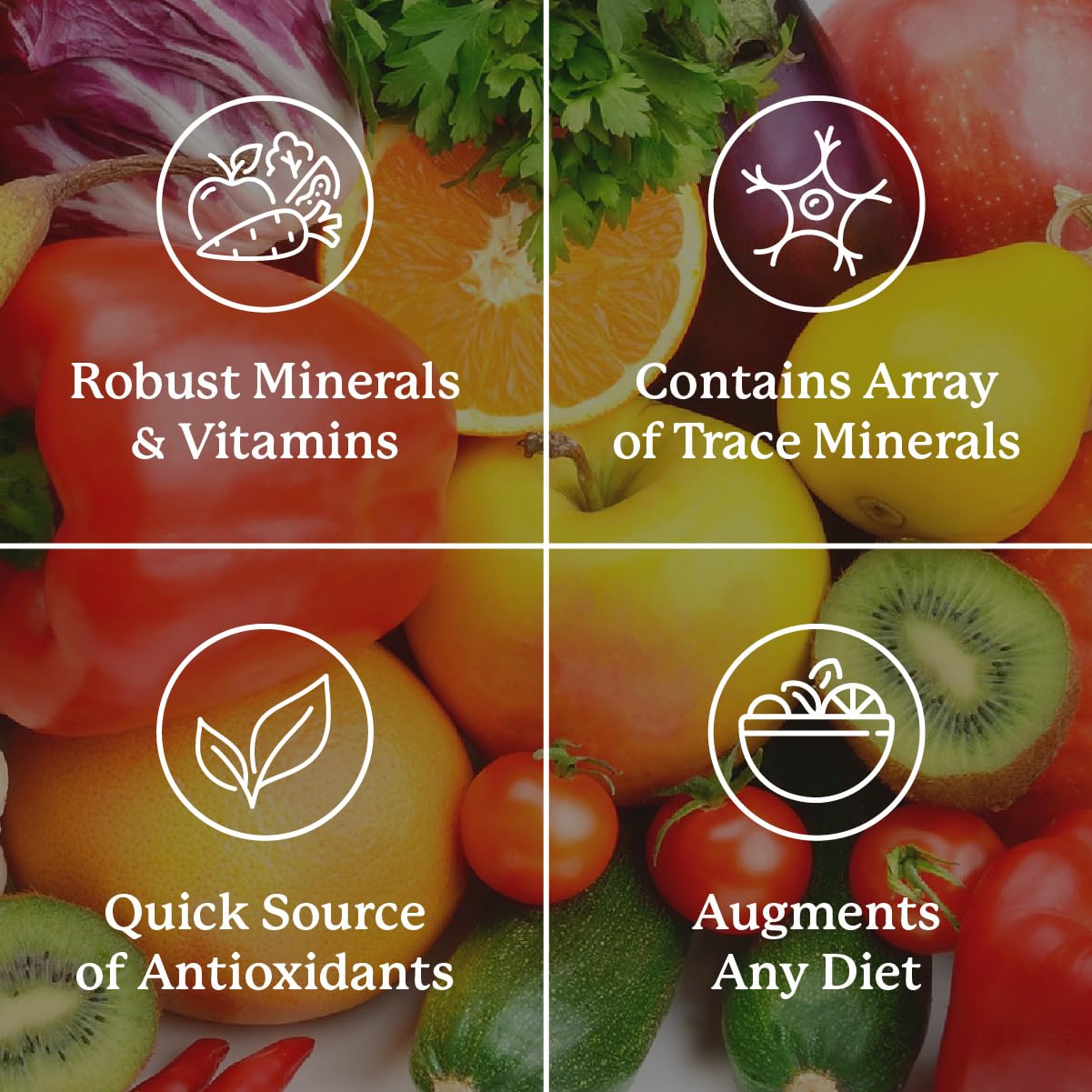 Nature's Sunshine Super Supplemental: Complete Multivitamin with Minerals, Antioxidants & More for Nutritional Gaps, Overall Health, Immune & Energy Support. 120 Tabs - Maple Wellness Supplements