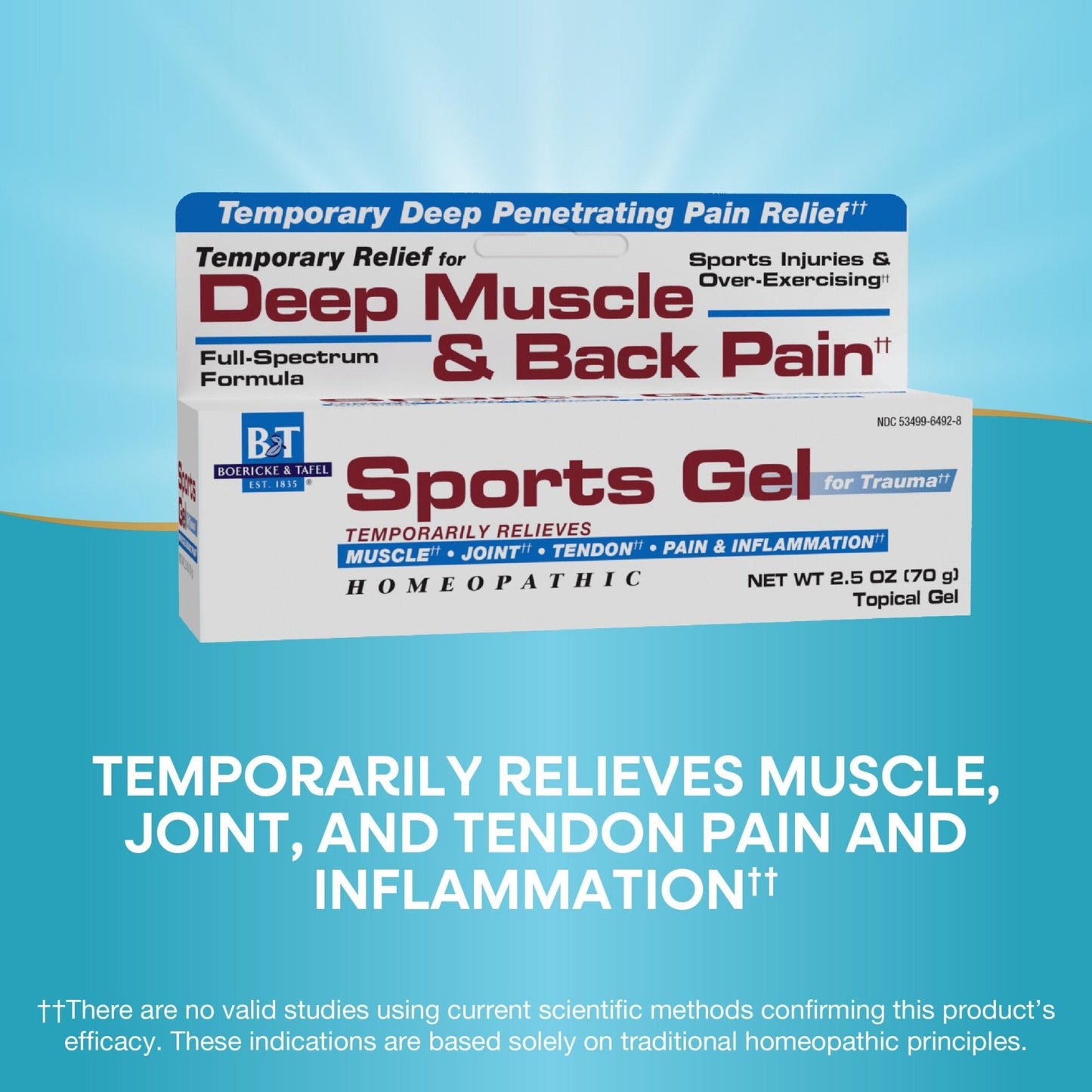 Nature's Way Boericke & Tafel Sports Gel, Relief for Deep Muscle, Joint, Tendon, & Back Pain and Inflammation, Homeopathic, 2.5 oz - Maple Wellness Supplements