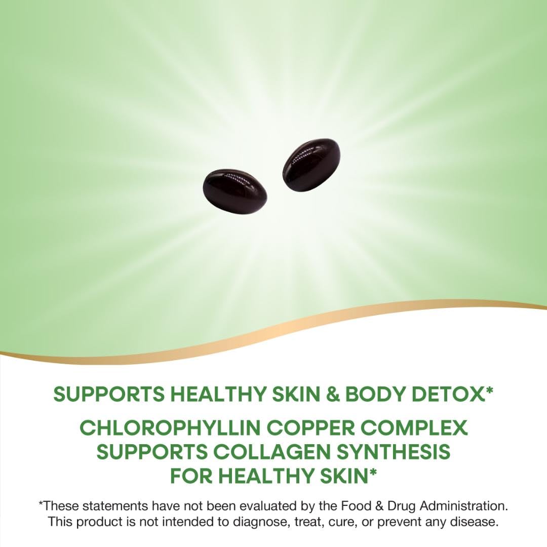 Nature’s Way Chlorofresh Chlorophyll Concentrate Softgels, Chlorophyllin Copper Complex, Internal Deodorant Supplement, Supports Healthy Skin and Detox Pathways - Maple Wellness Supplements