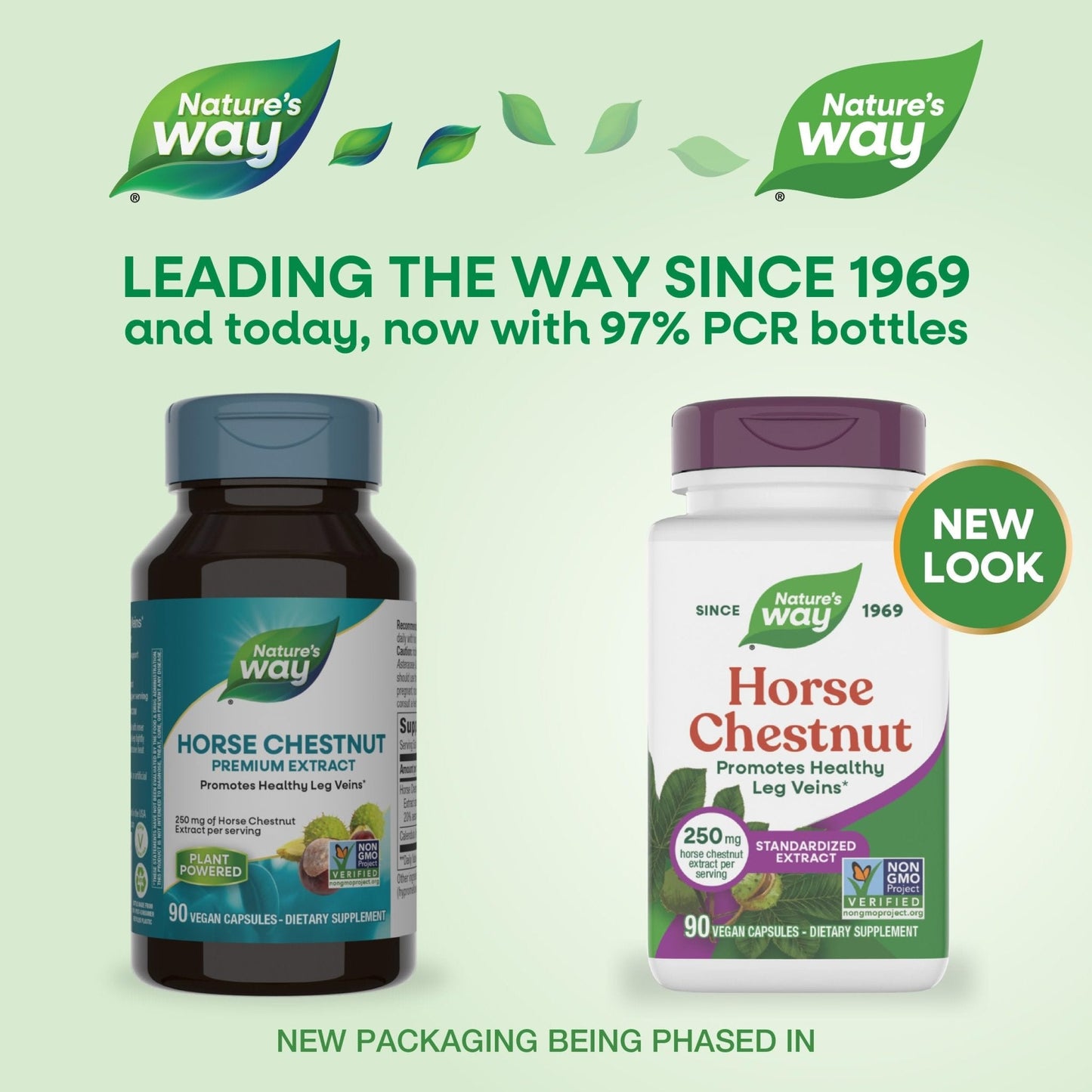 Nature's Way Horse Chestnut Extract, Premium Extract, Promotes Healthy Leg Veins*, 250 mg per Serving, Vegan - Maple Wellness Supplements