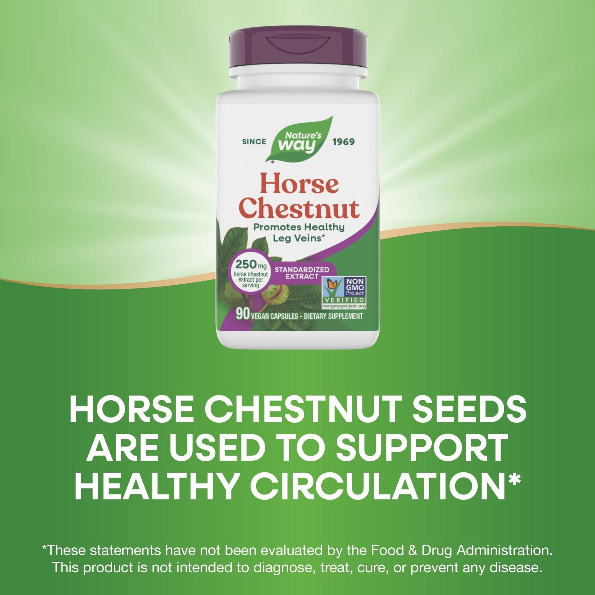 Nature's Way Horse Chestnut Extract, Premium Extract, Promotes Healthy Leg Veins*, 250 mg per Serving, Vegan - Maple Wellness Supplements
