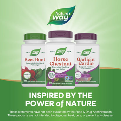 Nature's Way Horse Chestnut Extract, Premium Extract, Promotes Healthy Leg Veins*, 250 mg per Serving, Vegan - Maple Wellness Supplements