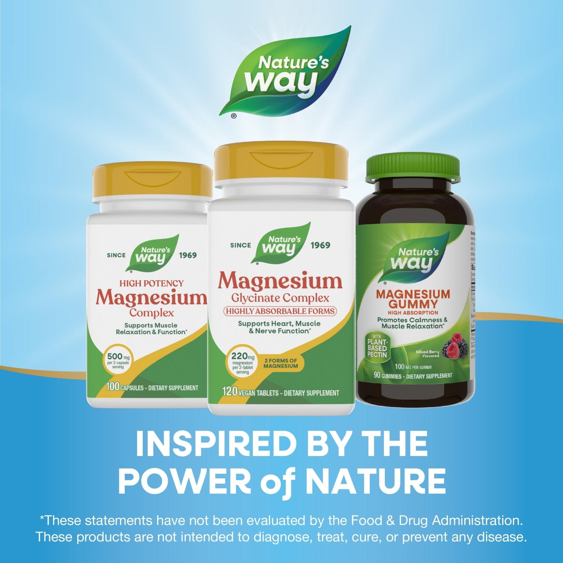 Nature's Way Magnesium Glycinate Complex, Supports Heart, Muscle, Nerve Function*, Highly Absorbable, 220 mg per 2-Tablet Serving, No Gluten, Vegan, 120 Tablets - Maple Wellness Supplements