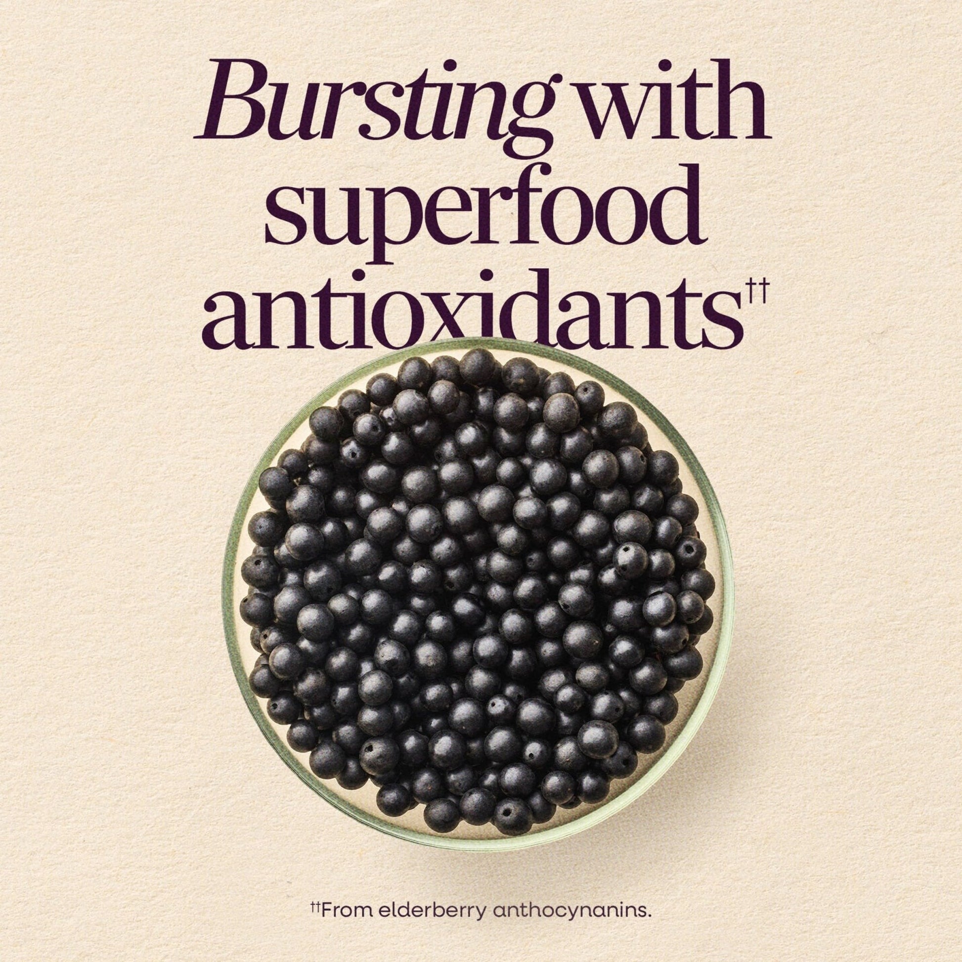 Nature’s Way Sambucus Elderberry Gummies, Immune Support Gummy for Adults & Kids Ages 4+ with Black Elderberry Extract, Vitamin C - Maple Wellness Supplements