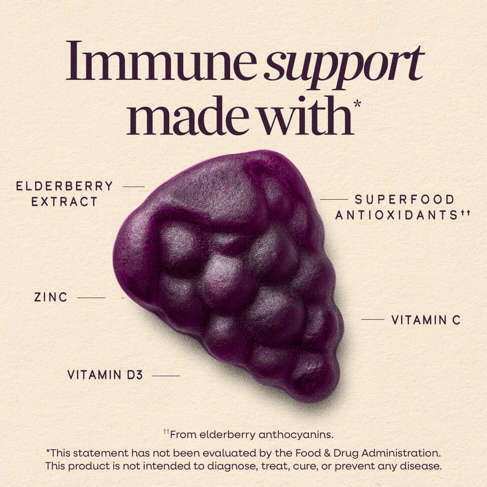 Nature’s Way Sambucus Elderberry Gummies, Immune Support Gummy for Adults & Kids Ages 4+ with Black Elderberry Extract, Vitamin C - Maple Wellness Supplements