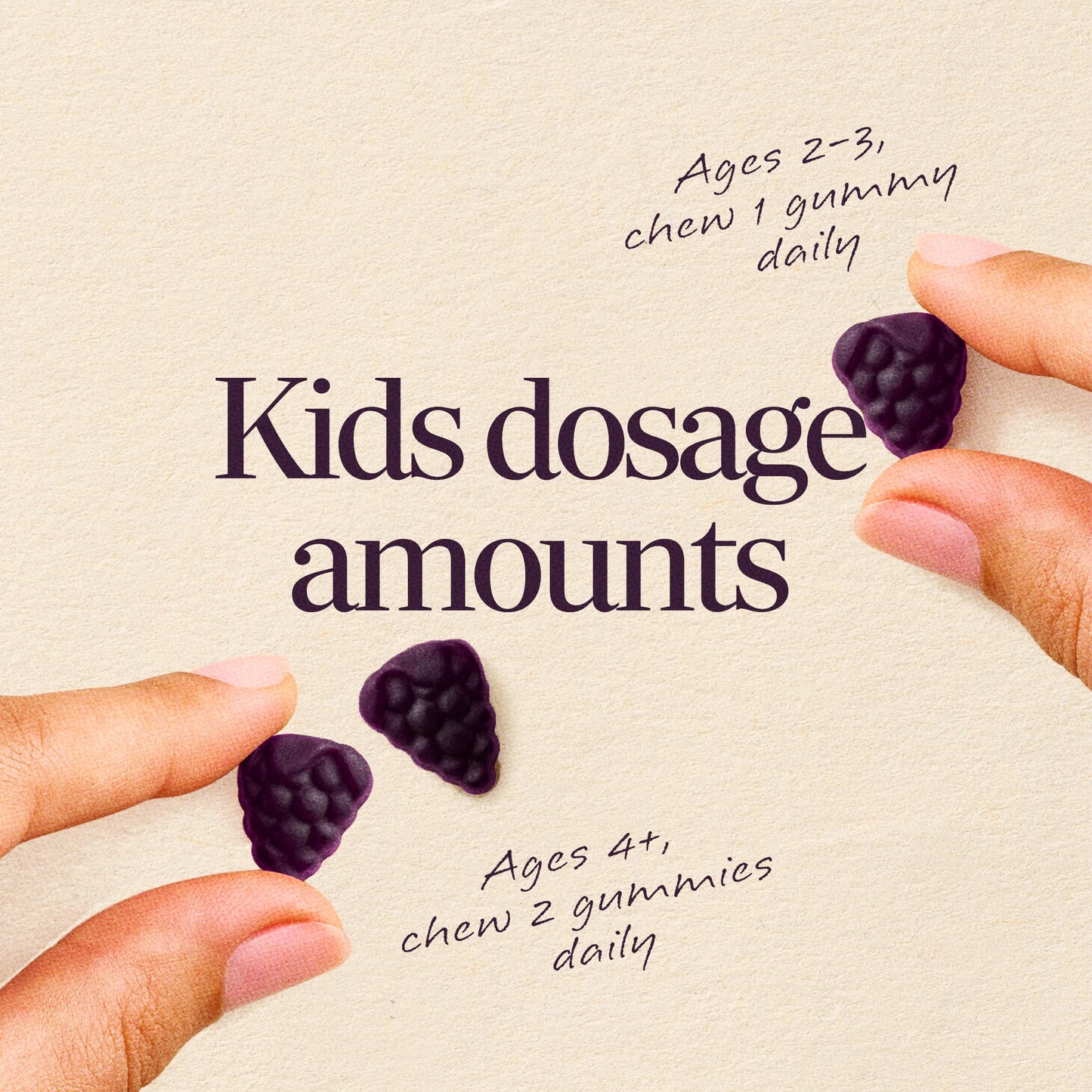 Nature’s Way Sambucus Kids Elderberry Immune Gummies with Black Elderberry Extract, Daily Immune Support Gummy with Vitamin C and Zinc - Maple Wellness Supplements