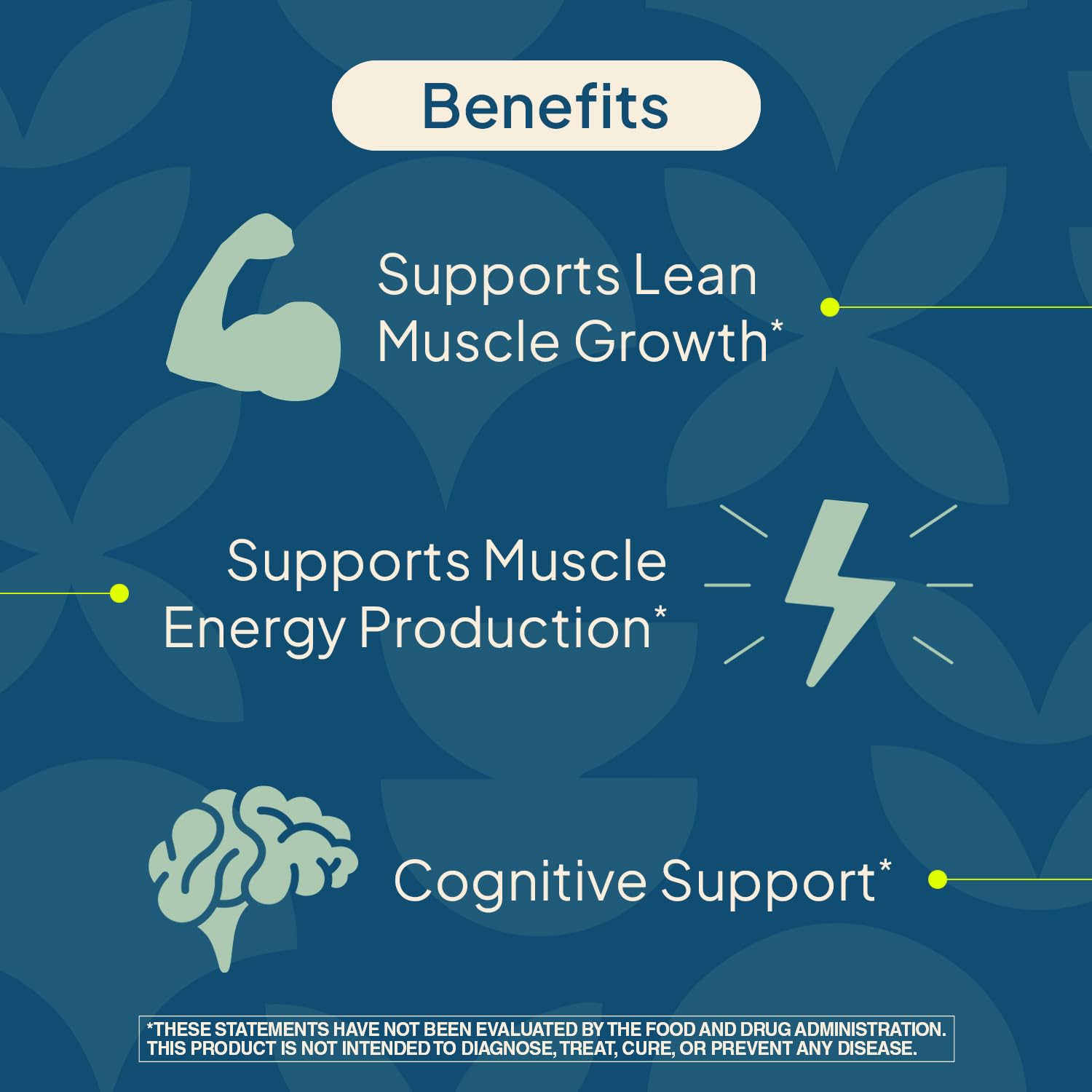 Nature's Wonder Micronized Creatine Monohydrate Powder 5g, Muscle Health, Muscle Energy Production, No Lactose, 5g of Micronized creatine Powder per Serving, 450G, 90 Servings - Maple Wellness Supplements