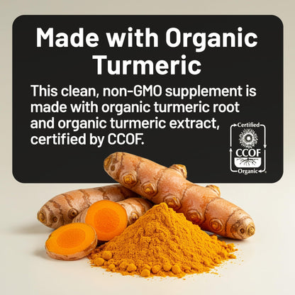 NatureWise Curcumin Turmeric 2250mg - 95% Curcuminoids & BioPerine Black Pepper Extract for Advanced Absorption - Daily Joint and Immune Health Support - Maple Wellness Supplements