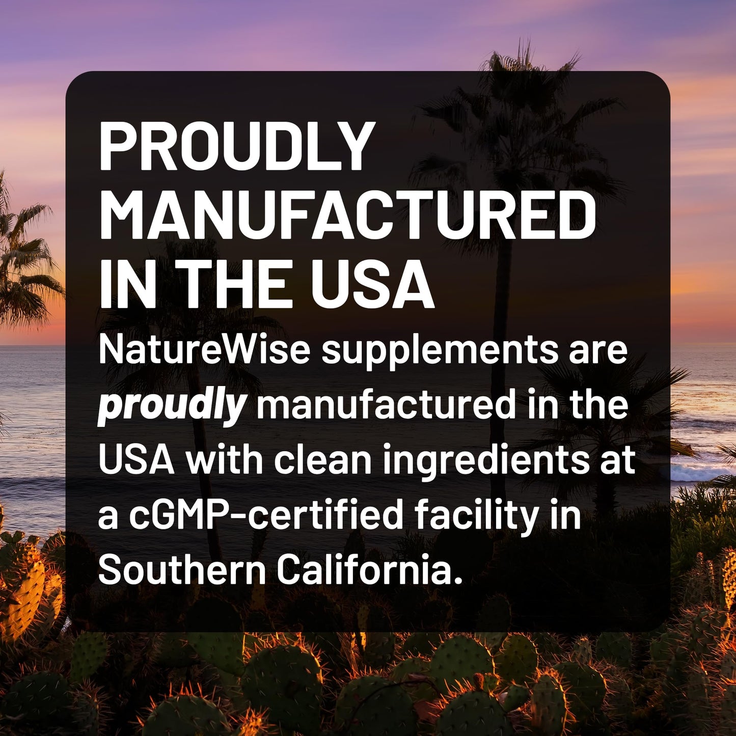 NatureWise Curcumin Turmeric 2250mg - 95% Curcuminoids & BioPerine Black Pepper Extract for Advanced Absorption - Daily Joint and Immune Health Support - Maple Wellness Supplements