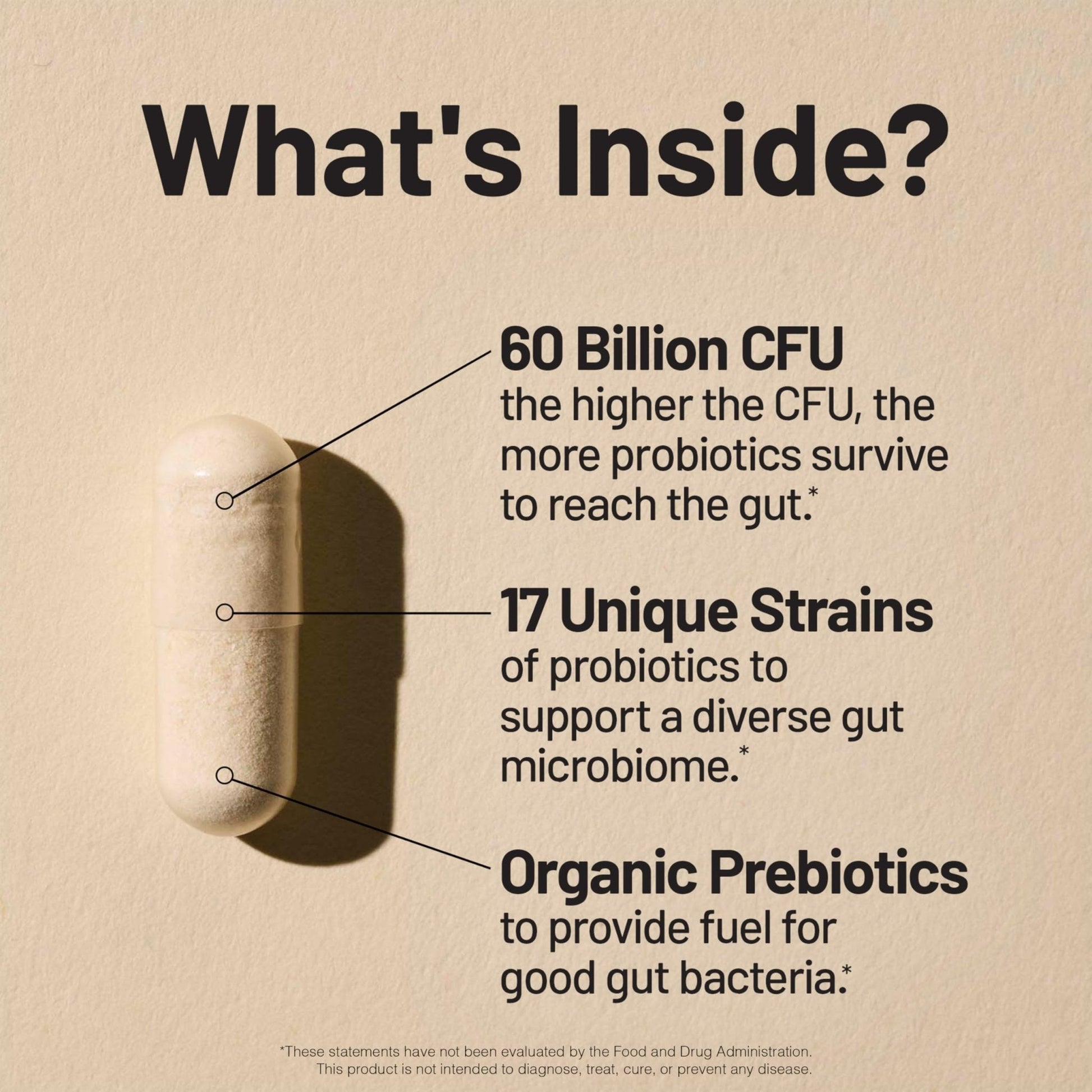 NatureWise Probiotics 60 Billion CFU - 17 Strains + Organic Prebiotics - Immune, Digestive & Gut Health Support for Women & Men - Vegetarian, Gluten-Free, - Maple Wellness Supplements